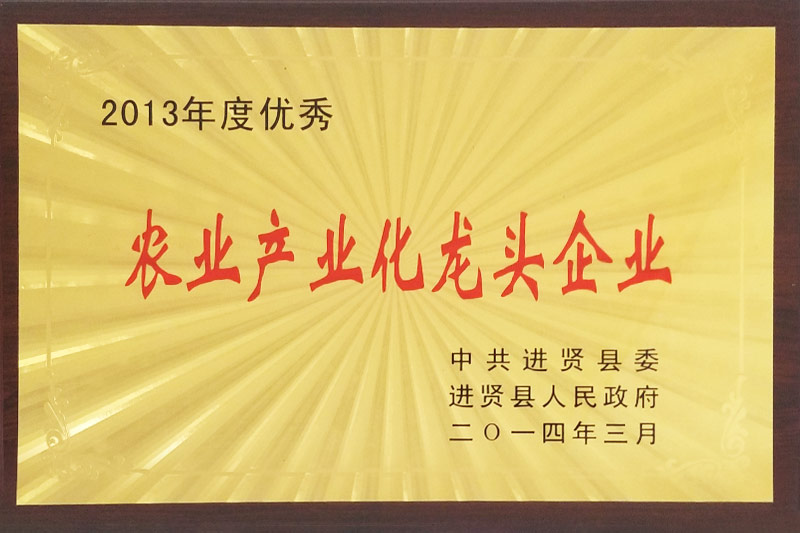 农业工业化龙头企业