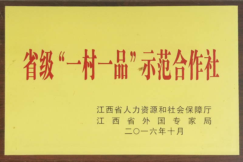 省级“一村一品”树模相助社
