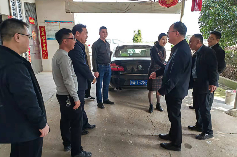 省市县有关向导莅临公司指导